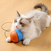 Engaging Play Toys For Cats Assortment
